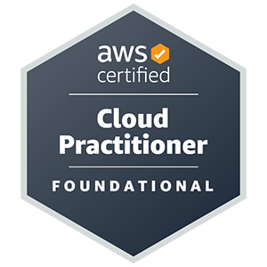 AWS Certified Cloud Practitioners at The Go Company