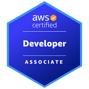 AWS Certified Developer Associates at The Go Company